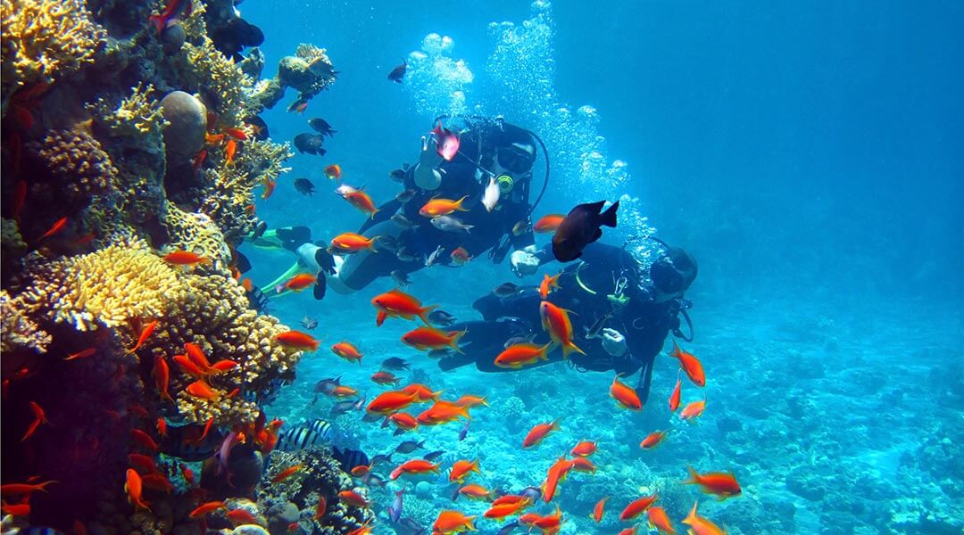 diving fuerteventura